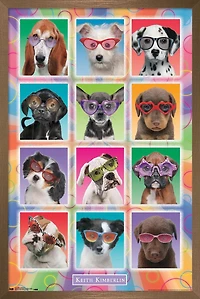 Keith Kimberlin - Chiots - Lunettes de soleil