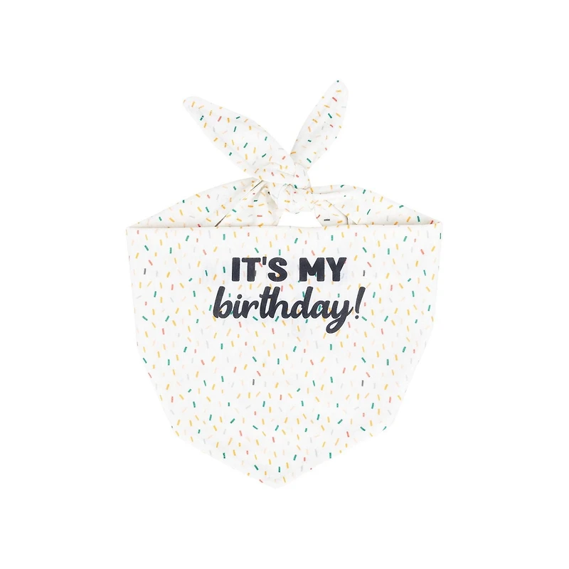 One Paw, Birthday Plush Hat & Reversible Bandana For Dogs