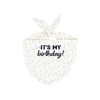 One Paw, Birthday Plush Hat & Reversible Bandana For Dogs