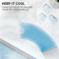 Instachew Replacement Ice Pack for Purechew mix feeder, cold pack, keeps food fresh, Pack of 4