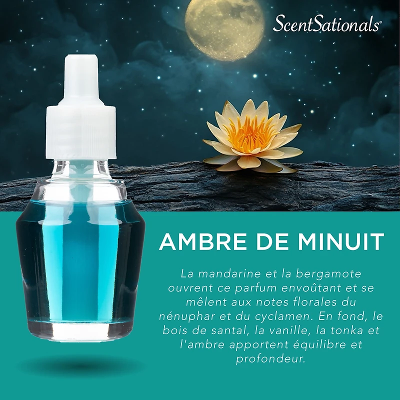 Huile Scent Charm ScentSationals - Midnight Amber 0.8 Fl oz, 24 mL Recharge