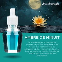 Huile Scent Charm ScentSationals - Midnight Amber 0.8 Fl oz, 24 mL Recharge