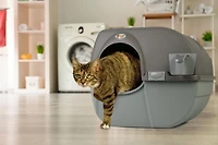 Omega Paw Roll 'n Clean Large Litter Box