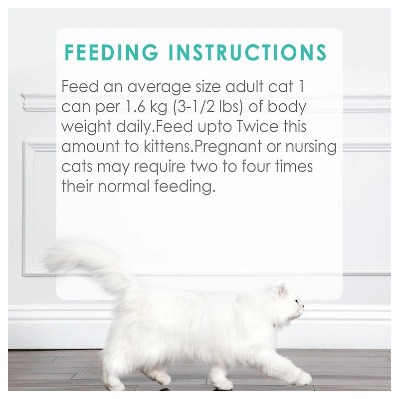 Fancy Feast Pâté Festin de Saumon et de Crevettes Nourriture pour Chats 85 g