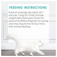 Fancy Feast Pâté Festin de Saumon et de Crevettes Nourriture pour Chats 85 g