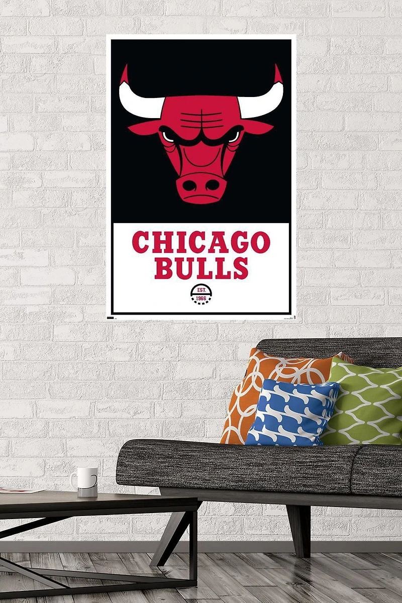 NBA Chicago Bulls