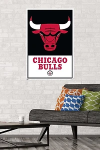 NBA Chicago Bulls