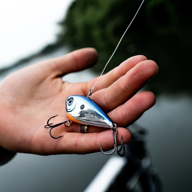 Rapala Snare 50 True Gill, crankbait sans bavette