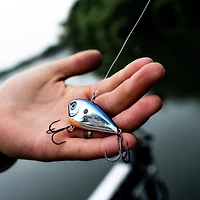 Rapala Snare 50 True Gill, crankbait sans bavette
