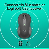 Logitech Signature M650 L Souris Sans Fil Grande Taille, Pour Mains Larges, Graphite