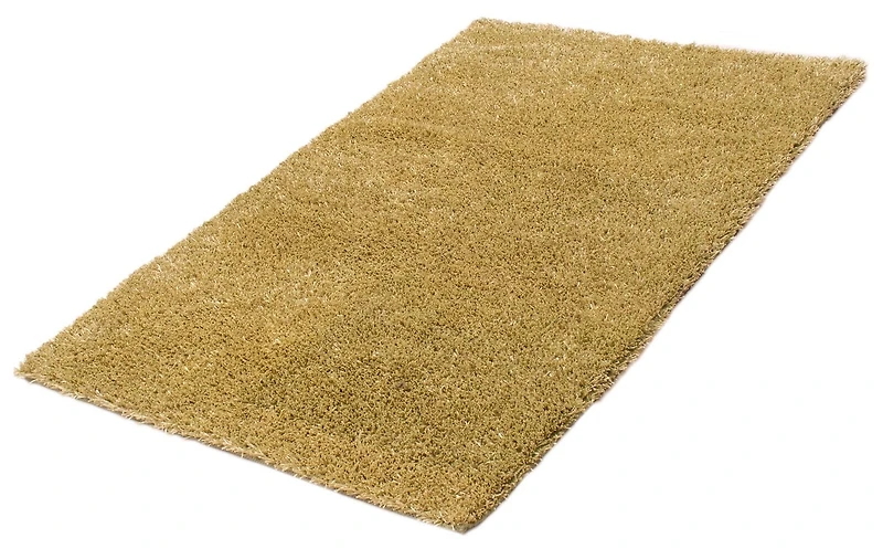 ECARPETGALLERY Metro Plush Light Green Shag 5'0" x 8'0"