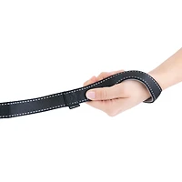 One Paw, Webbing Leash for Dogs