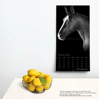 BrownTrout The BrownTrout Portrait Series: The Noble Horse 2024 12x24 Inch Square Wall Calendar, 9781975463120