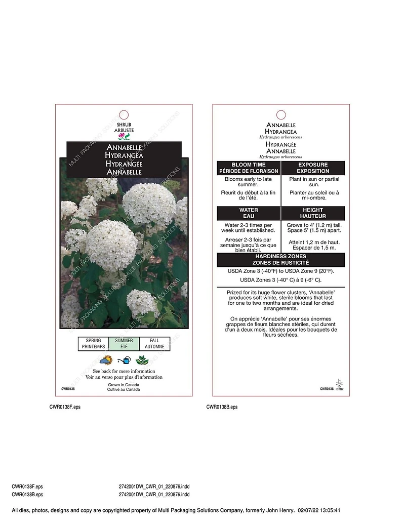 Ensemble de arbuste 6 contenants de 1 gallon (3,8 L) hortensia Annabelle