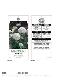 Ensemble de arbuste 6 contenants de 1 gallon (3,8 L) hortensia Annabelle