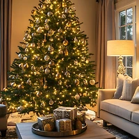 Danson Décor 100 C7 Guirlandes Lumineuses à LED, Blanc Chaud