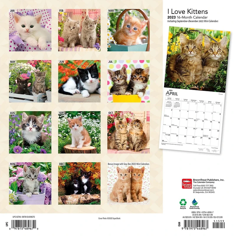 Kittens, I Love 2023 Square