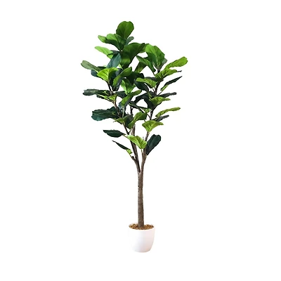 Fiddle Leaf Fig Tree, 62.9"H