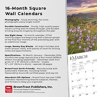 BrownTrout Inspiration 2024 12x24 Inch Square Wall Calendar, 9781975463250