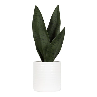 Faux sanseveria Coco dans un pot blanc 27,3cm H x 7,6cm L x 6,4cm P