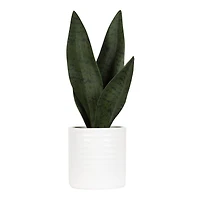 Faux sanseveria Coco dans un pot blanc 27,3cm H x 7,6cm L x 6,4cm P