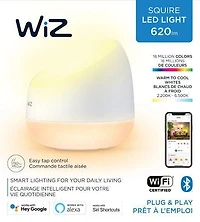 WiZ Lampe LED intelligente Squire équivalente à 60 watts, polychrome et blanc réglable, 2 200 K-6 500 K