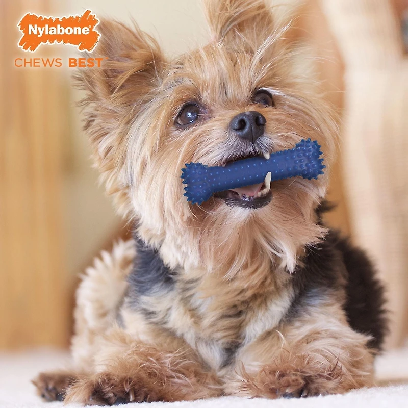 Nylabone Small Dog  Toy Value Pack, 3 Count, X-Small