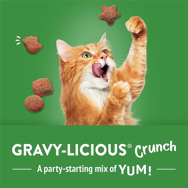 Friskies Party Mix Gravy-licious Turkey & Gravy Crunch, Cat Treats 454g, 454 g