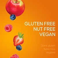 SunRype Fruit to Go 100% Fruit Snack Pack, 24 x 14 g