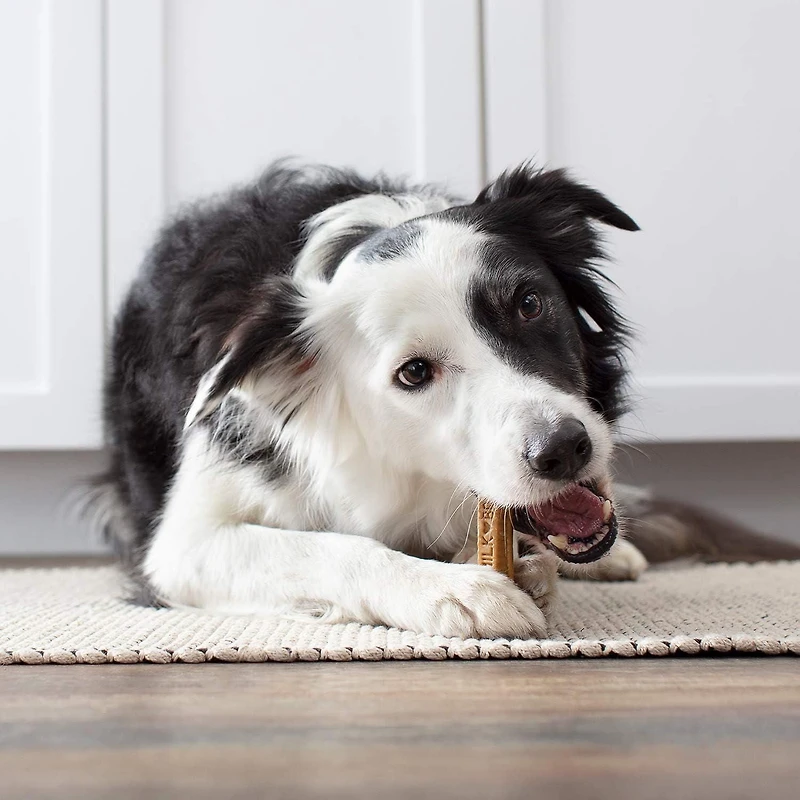 Milk-Bone Brushing Chews Gâteries dentaires pour chiens petit-chiens 201g-535g (18-48 gâteries)