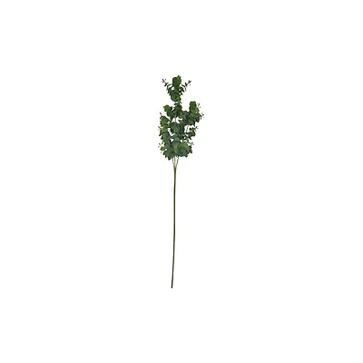 Tige d'eucalyptus Tige d'eucalyptus 26"