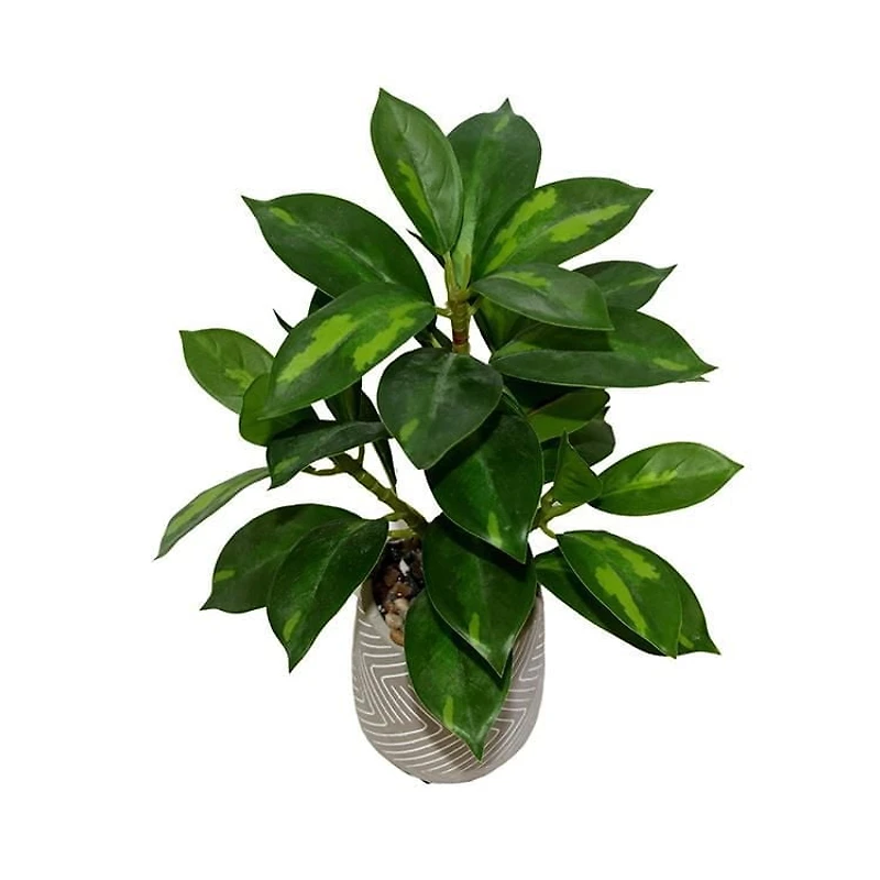 Lerman Decor's slim plant in zigzag pot