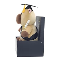 Peluche capybara de la promotion 2026, en coffret cadeau, par Way to Celebrate