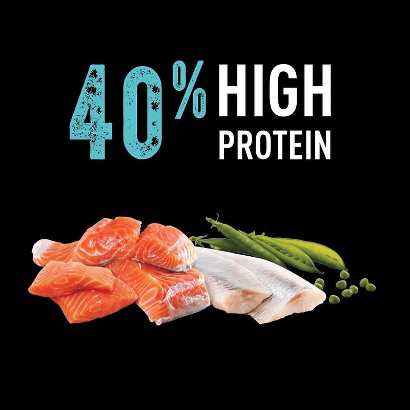 Crave Nourriture Sèche pour Chats Riche en Protéines au Saumon Véritable & aux Poissons de l'Océan 1.8kg