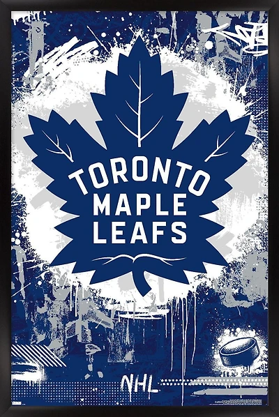 Maple Leafs de Toronto de la LNH