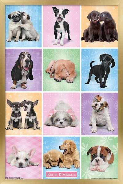 Keith Kimberlin - Puppies - Cuties Grid Wall Poster