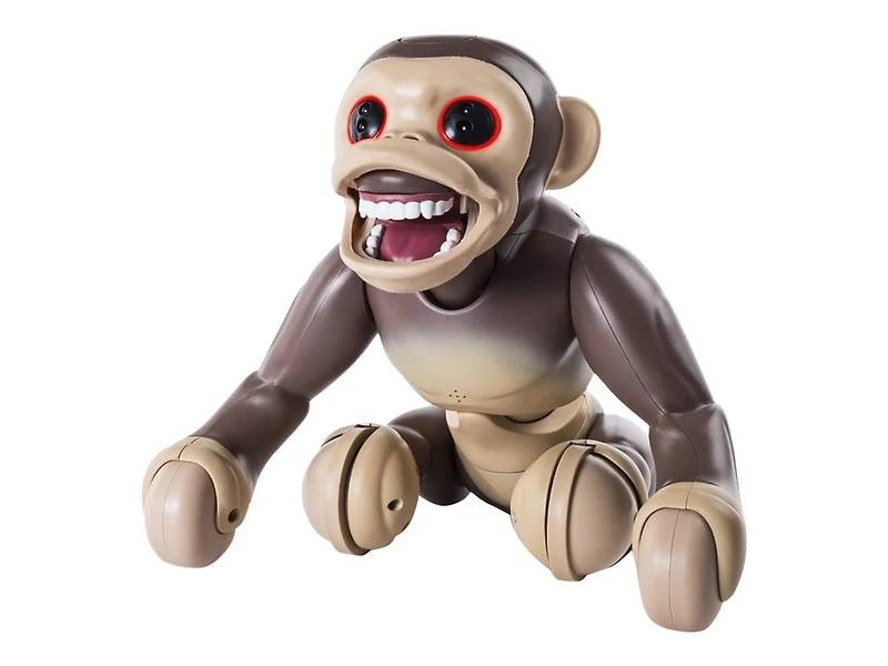 Zoomer - Chimpanzé - - - - - - - - - - - - - - - - - - -