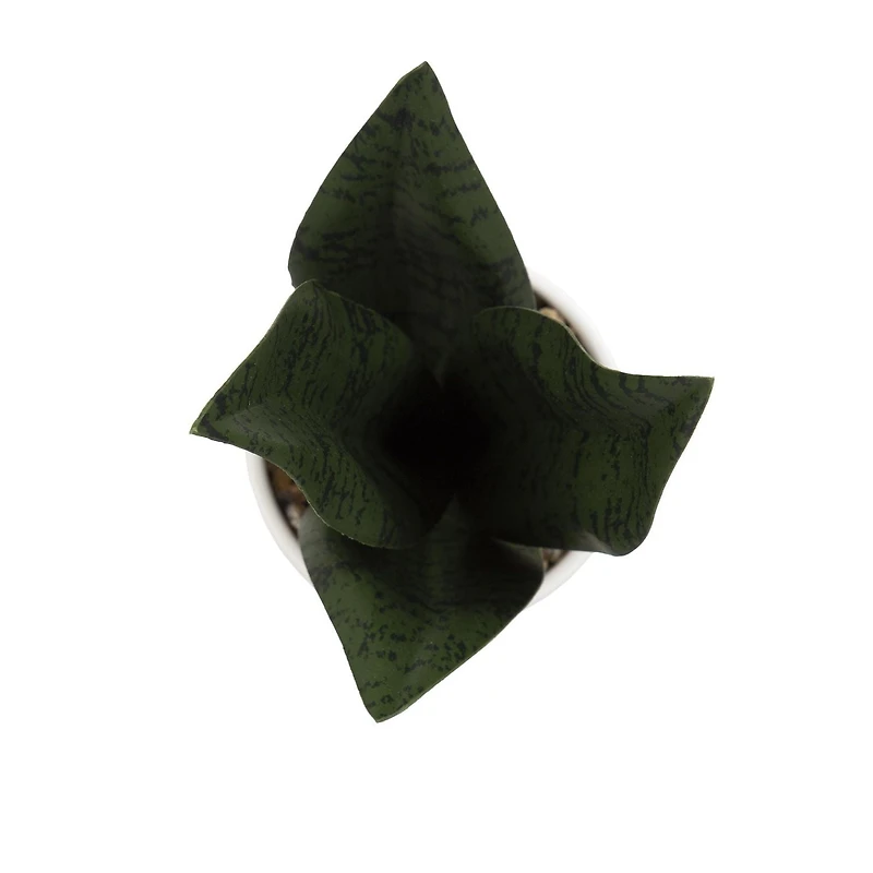 Faux sanseveria Coco dans un pot blanc 27,3cm H x 7,6cm L x 6,4cm P
