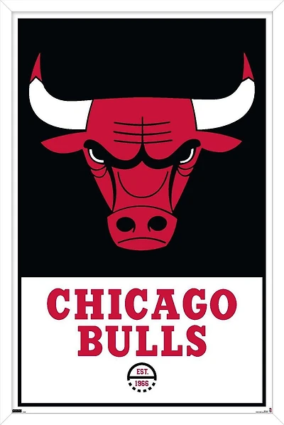 NBA Chicago Bulls - Logo 21