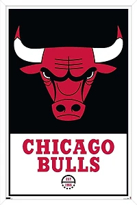 NBA Chicago Bulls - Logo 21