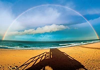 Buffalo Games - Bo Bridges - Rainbow Morning - 500 Piece Jigsaw Puzzle