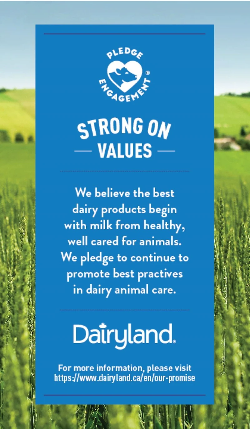 Dairyland 10% Lactose Free Half & Half Cream, 946 mL