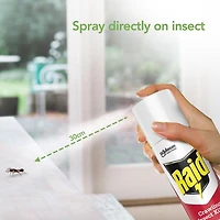 Insecticide Raid Essentials contre les fourmis et les araignées, pour utilisation à l’intérieur, 350 g