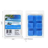 IH Casa Decor 6Pk La Cire Parfumée Fond Les Rêves D'Océan - Ensemble De 4