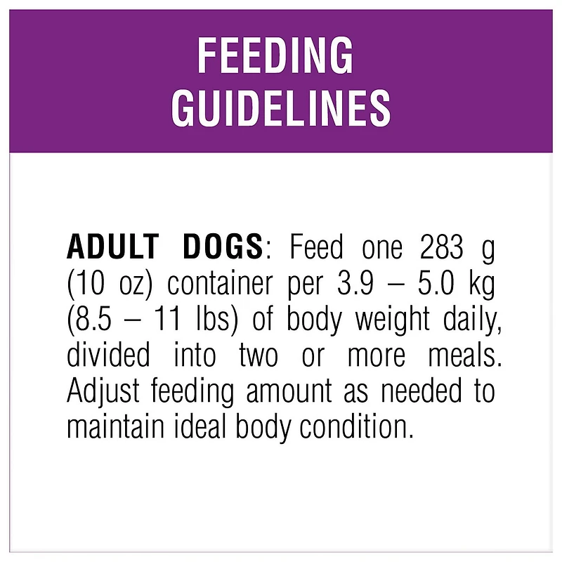 Beneful Repas Préparés Arôme de Boeuf Mijoté, Nourriture Humide pour Chiens 283 g 283 g