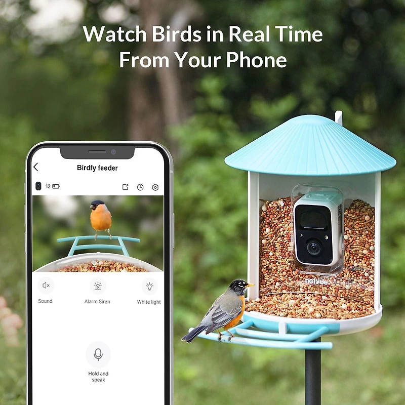 Birdfy Smart Bird Feeder with Camera, Bird Watching Camera for Bird Feeding, Gift for Bird Lover, Blue