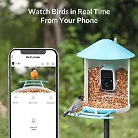 Birdfy Smart Bird Feeder with Camera, Bird Watching Camera for Bird Feeding, Gift for Bird Lover, Blue