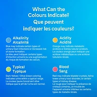 Litière agglomérante pour chat PrettyLitter, non parfumée, sac de 10 lb