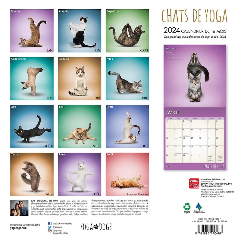 BrownTrout Yoga Cats OFFICIAL 2024 12x24 Inch Square Wall Calendar, 9781975470487