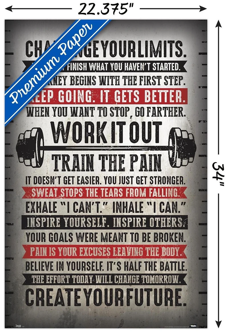 Challenge Your Limits Wall Poster, 14.725" x 22.375"